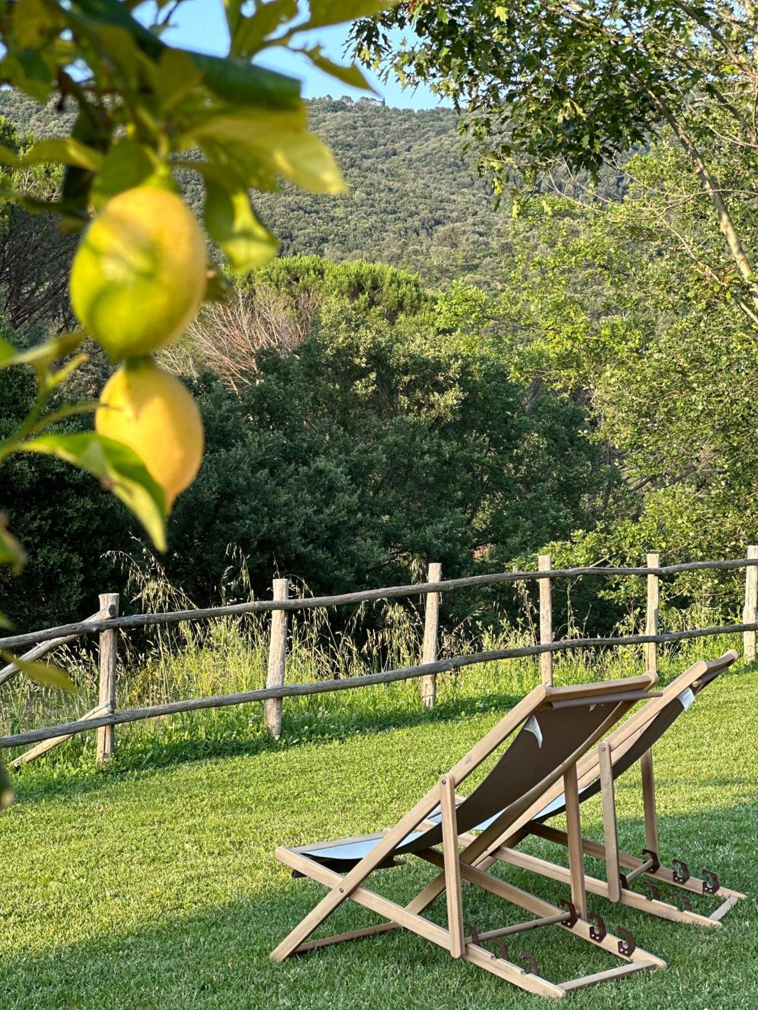 Gio Toscana Castiglione della Pescaia Dış mekan fotoğraf